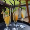 welcome drink 