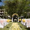 yellow theme wedding decoration 