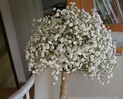 baby breath bouquet 