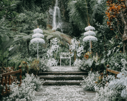 Royal Pitamaha wedding 