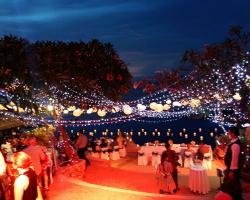 Fairy light tails on trees 
