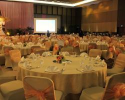 Gold and peach theme color 