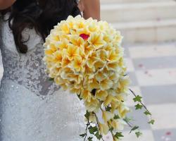 prangipani bouquet 