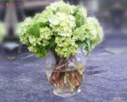 simple green hydrangea centerpiece