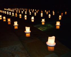 floating candle with banana trunk only 