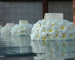 floating flower on the pool 