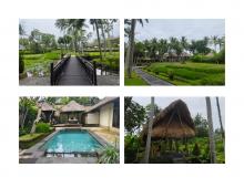 The Ubud Village Resort & Ubud Village Hotel
