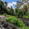 The Pala Ubud - Jungle Wedding