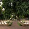 WOS riverside Deck wedding 