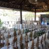 natural tiffany chairs 
